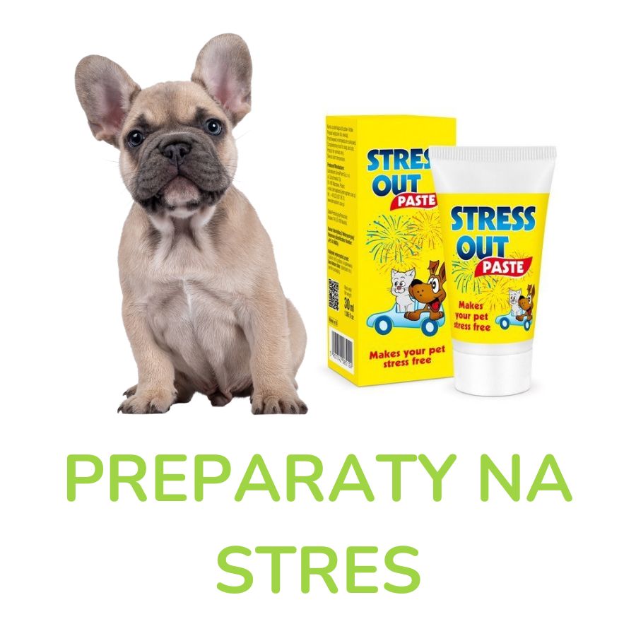 Preparaty na stres dla psów