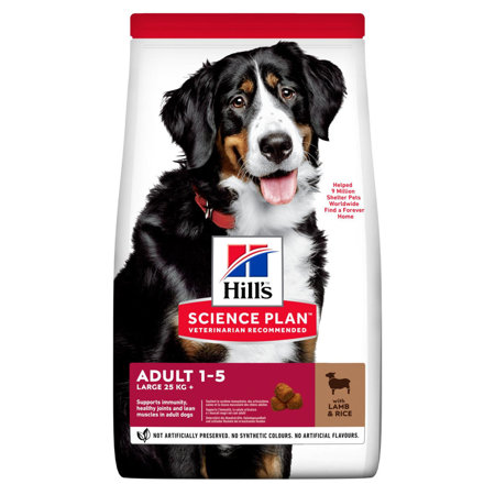 HILL'S Canine Adult Large Breed Lamb & Rice 14kg  - sucha karma dla psa