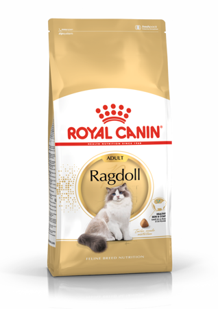 ROYAL CANIN FBN Ragdoll Adult - sucha karma dla dorosłego kota - 10 kg
