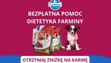 Zniżka na karmy Farmina i darmowa konsultacja ze zwierzęcym dietetykiem – nie przegap niepowtarzalnej okazji!