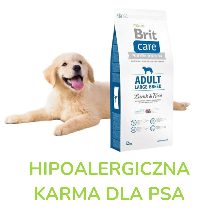 Hipoalergiczna karma dla psa
