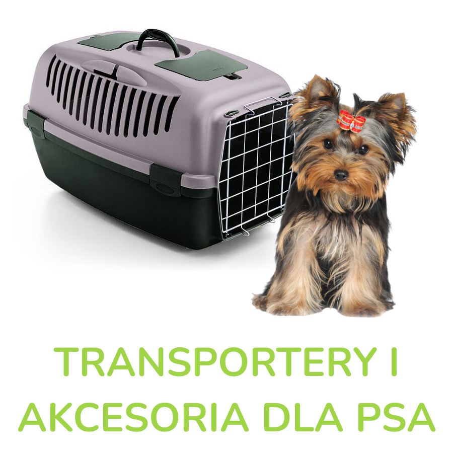 Transportery i akcesoria dla psa