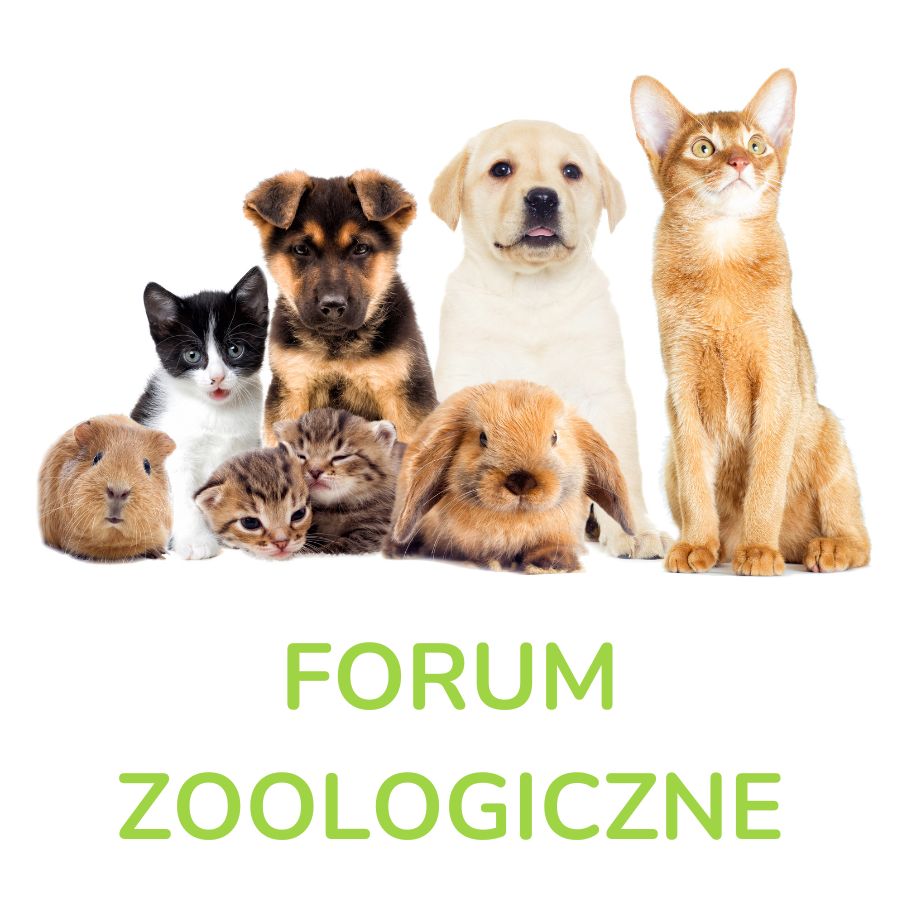 Forum zoologiczne