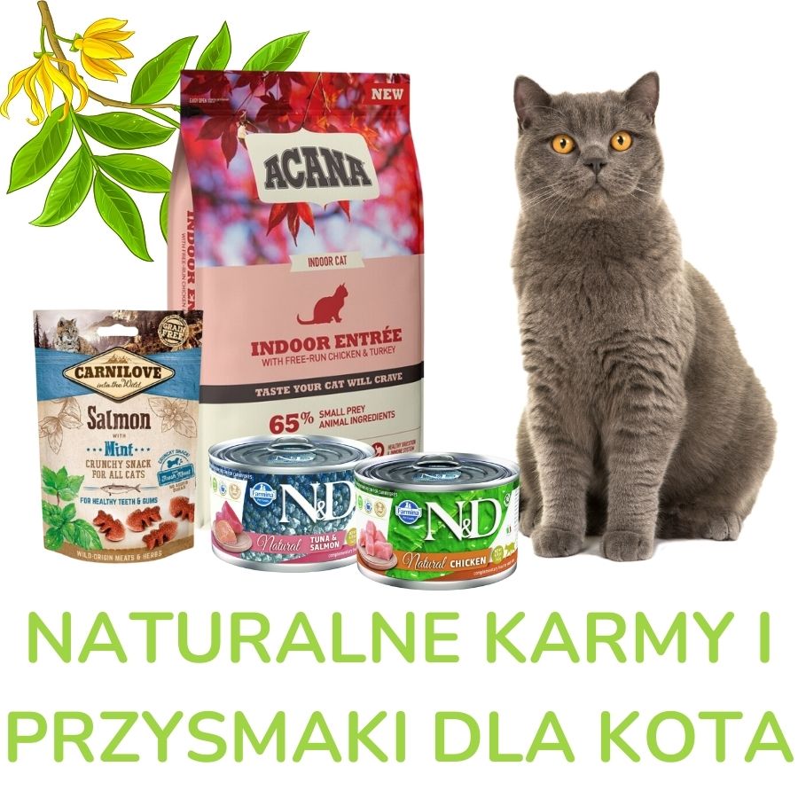 Naturalne karmy i przysmaki dla kota