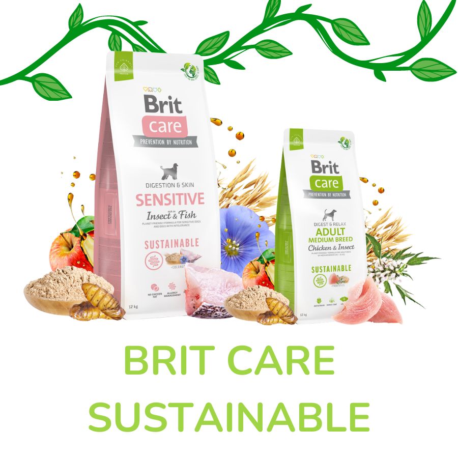 Brit Care Sustainable