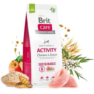 Karmy Brit Sustainable Activity