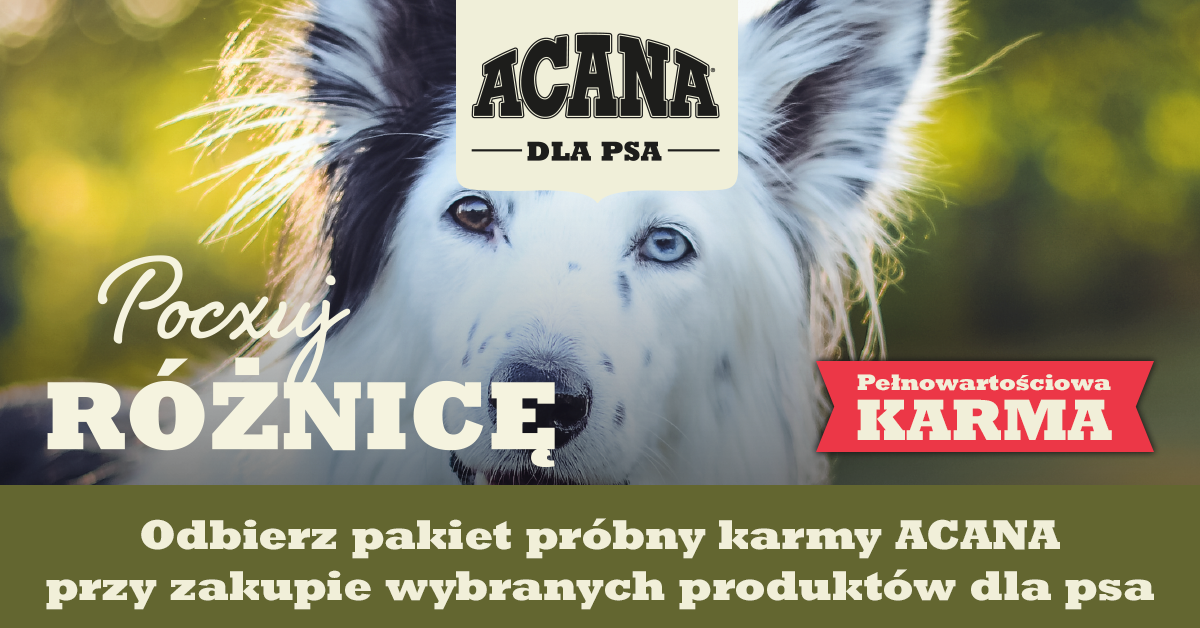 Poczuj różnicę – wypróbuj wysokiej jakości karmę dla psa Acana