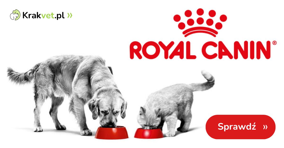 Start kampanii Transition to Adulthood dla właścicieli kociąt i szczeniąt – odbierz kupon Royal Canin!