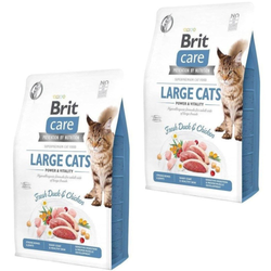 BRIT Care Grain-Free Adult Power&Vitality Large Cats - sucha karma dla kota - 2x2 kg