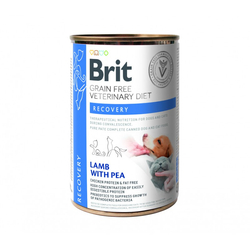 BRIT Grain Free Vet Diets Dog & Cat Recovery - mokra karma dla psa i kota - 400 g