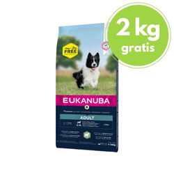 EUKANUBA Adult Small & Medium Breed Lamb & Rice - sucha karma dla psa - 12+2kg GRATIS