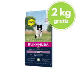 EUKANUBA Puppy & Junior Small & Medium Lamb & Rice - sucha karma dla szczeniąt - 12+2 kg GRATIS