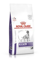 ROYAL CANIN Dental - sucha karma dla dorosłych psów średnich i dużych ras - 6kg