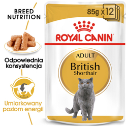 ROYAL CANIN FBN British Shorthair Adult - mokra karma dla dorosłego kota - 24x85g