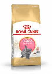 ROYAL CANIN FBN British Shorthair Kitten - sucha karma dla kociąt - 10kg