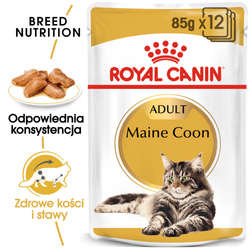 ROYAL CANIN FBN Maine Coon - mokra karma dla dorosłego kota - 12x85g