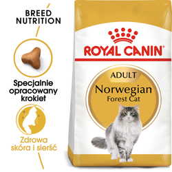 ROYAL CANIN FBN Norwegian Forest Cat Adult - sucha karma dla dorosłego kota - 0,4kg