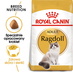 ROYAL CANIN FBN Ragdoll Adult - sucha karma dla dorosłego kota - 2x10kg
