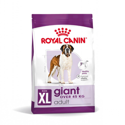 ROYAL CANIN SHN Giant Adult - sucha karma dla psa dorosłego - 15 kg