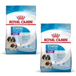 ROYAL CANIN SHN Giant Starter Mother&Babydog - sucha karma dla szczeniąt - 2x15 kg