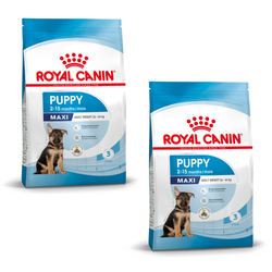 ROYAL CANIN SHN Maxi Puppy - sucha karma dla szczeniąt - 2x15 kg