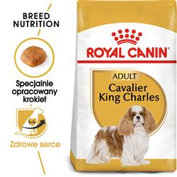 Royal Canin BHN Cavalier King Charles Spaniel Adult - sucha karma dla psa dorosłego - 1,5kg