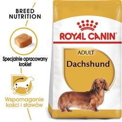Royal Canin BHN Dachshund Adult - sucha karma dla psa dorosłego - 1,5kg