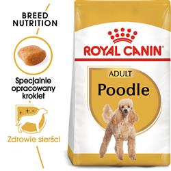 Royal Canin BHN Poodle Adult - sucha karma dla psa dorosłego - 1,5kg