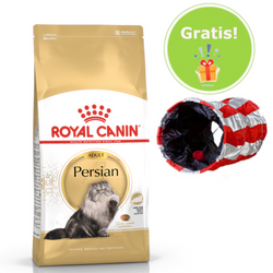 Royal Canin FBN Persian Adult - sucha karma dla kota dorosłego - 10 kg + GRATIS!