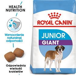 Royal Canin SHN Giant Junior - sucha karma dla szczeniąt - 15kg