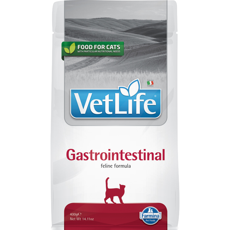 FARMINA Vet Life Gastrointestinal Feline - sucha karma dla kota - 400g