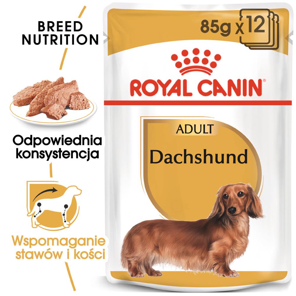 Royal Canin BHN Dachshund Adult - mokra karma dla psa dorosłego - 12x85g