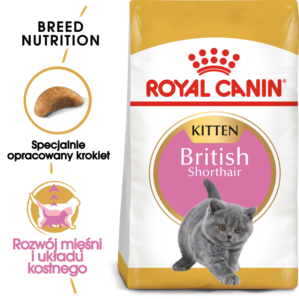 Royal Canin FBN British Shorthair Kitten - sucha karma dla kociąt - 10kg
