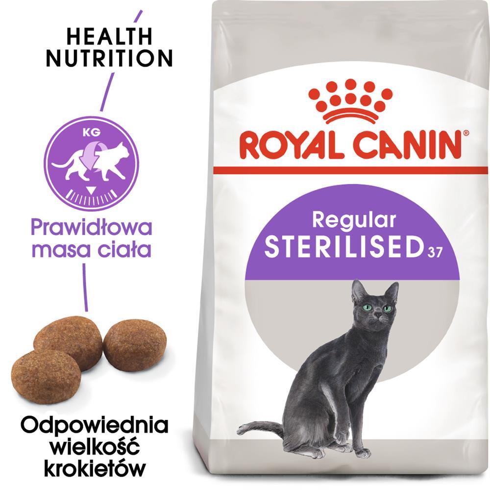 Royal Canin FHN Regular Sterilised 37 - sucha karma dla kota dorosłego - 10 kg