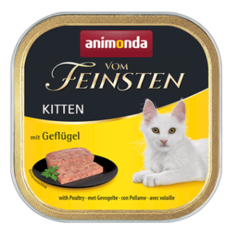 ANIMONDA Vom Feinsten Kitten kurczak - mokra karma dla kociąt - 100g