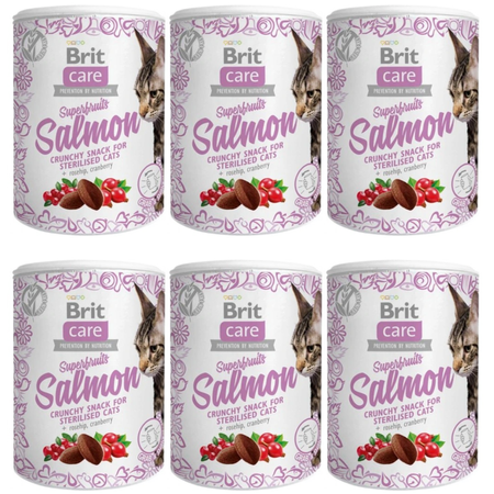 Brit Care Cat Snack Superfruits Salmon - przysmak dla kota - 6x100 g