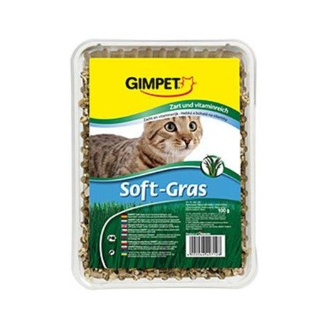 GIMPET Soft Gras - trawa dla kota 100g