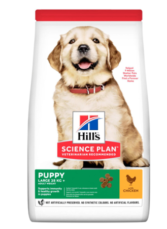 Hill's Science Plan Canine  Healthy Development Puppy Large Breed - sucha karma z kurczakiem dla szczeniąt - 14,5 kg