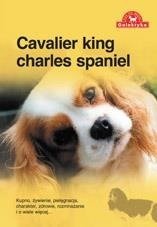 Książka "Cavalier king charles spaniel" wyd. Galaktyka