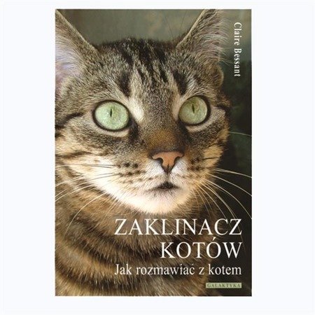 Książka "Zaklinacz kotów" wyd. Galaktyka