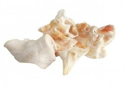 MACED Przysmak dla psa - chipsy z ucha białego 100g