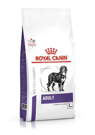 ROYAL CANIN Adult Large - sucha karma dla psa - 13 kg