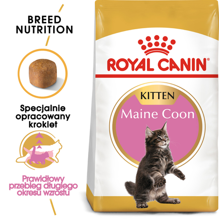 ROYAL CANIN FBN Maine Coon Kitten - sucha karma dla kociąt - 0,4kg