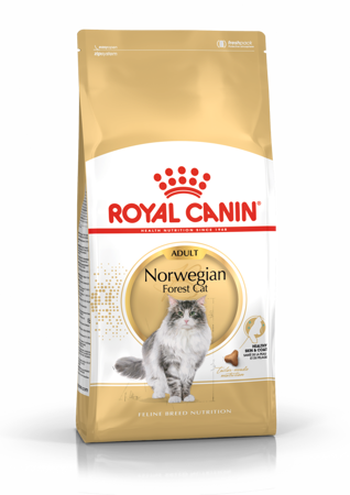 ROYAL CANIN FBN Norwegian Forest Cat Adult - sucha karma dla dorosłego kota - 10kg