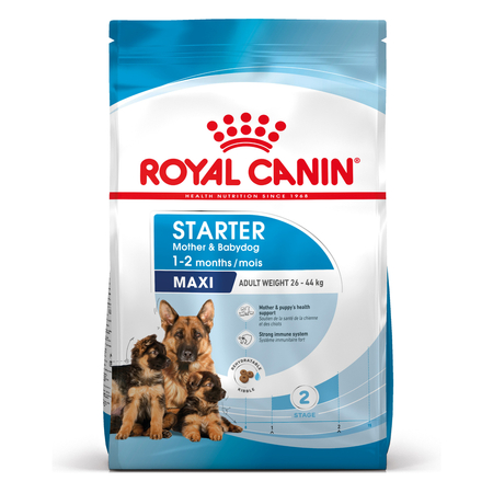 ROYAL CANIN SHN Maxi Starter Mother&Babydog - sucha karma dla szczeniąt - 15 kg