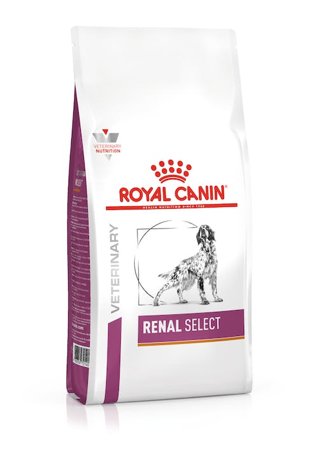ROYAL CANIN Veterinary Renal Select - sucha karma dla psa - 10 kg