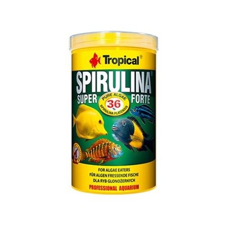 TROPICAL Spirulina Super Forte - pokarm roślinny dla rybek 12g
