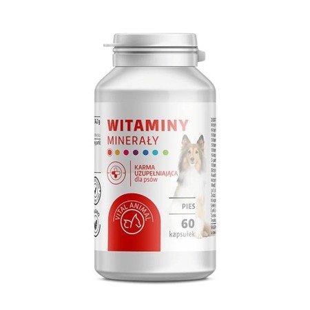 VITAL ANIMAL - witaminowy suplement diety dla psa 60 tab.